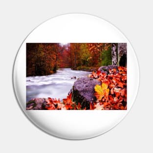 Autumn Flow Pin