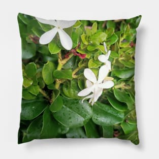 White flowers green leaves, aesthetic minimalist plant photography Pillow