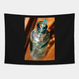 Vintage Glass Medicine Bottle Tapestry