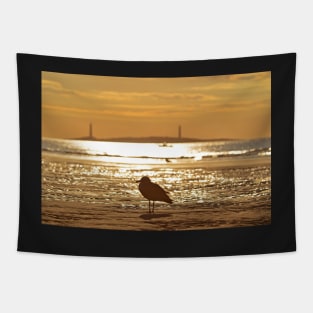 Seagull admiring Thacher Island Gloucester MA Good Harbor Beach Tapestry