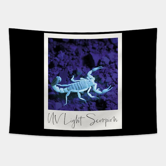 Scorpion UV Light Photo Tapestry by BlueTodyArt