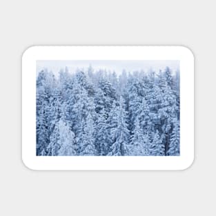 Trees covered in snow Magnet