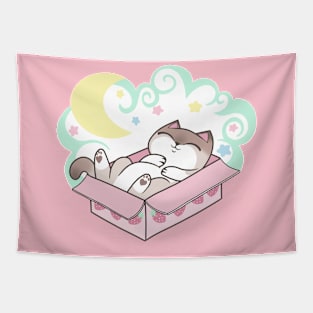 Sleepy Cat in Cardboard Box Cute Pastel Kawaii Tapestry