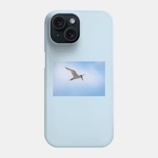 Royal Tern In Flight Phone Case