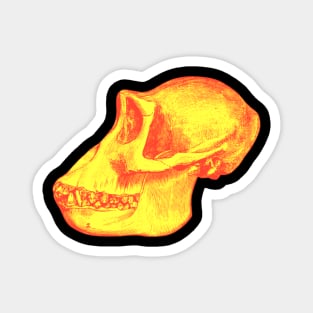 Gorilla Scull Illustration - Animal Skull Magnet