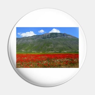 Mount Vettore and poppies Pin