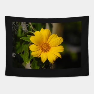 Narrowleaf Sunflower Tapestry