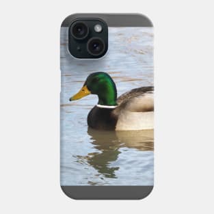 A Male Mallard Duck Swimming Phone Case