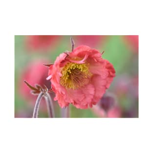 Geum  &#39;Bell Bank&#39;  Avens T-Shirt