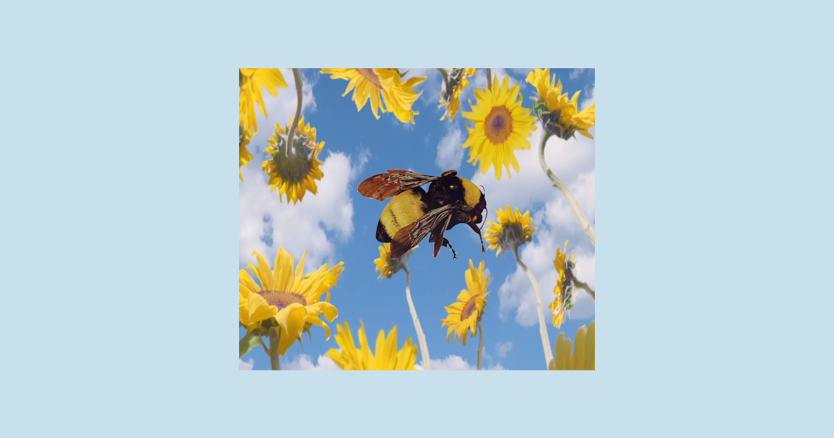 Flower Boy - Tyler The Creator - Tapestry | TeePublic