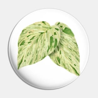 Pothos Marble Queen Leaf Pin