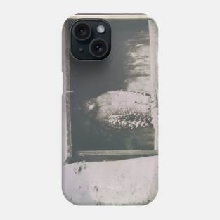 Vintage Falcon Phone Case