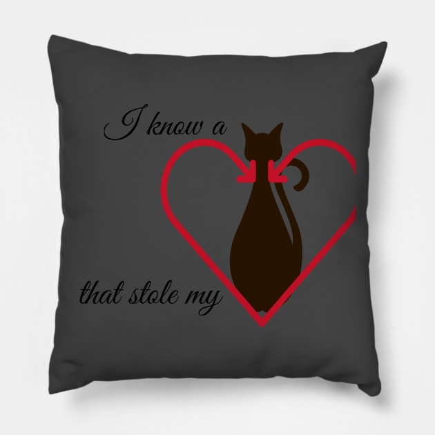 Cat stole my heart Pillow by Courtney's Creations