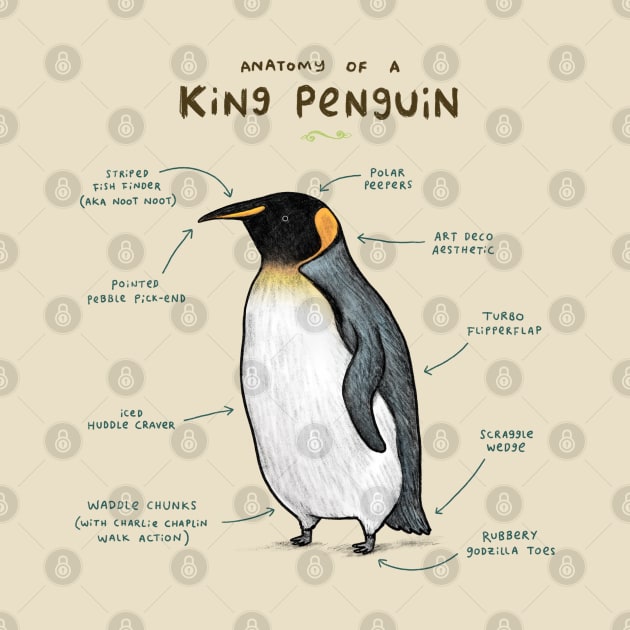 Anatomy of a King Penguin by Sophie Corrigan