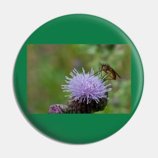 Dance Fly on Thistle Flower Pin