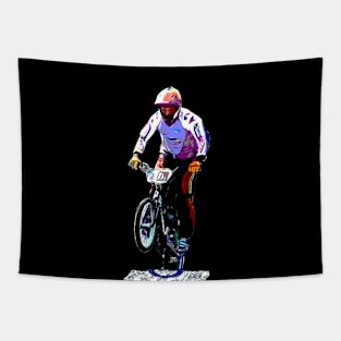 bmx Tapestry