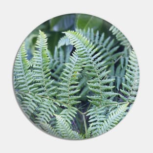 Ferns Pin