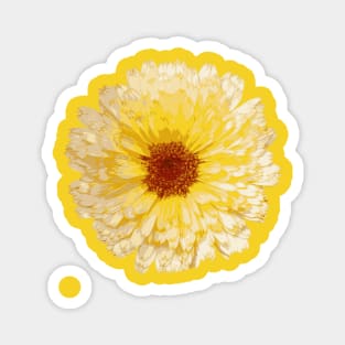 Beautiful Yellow Marigold Botanical Art Magnet