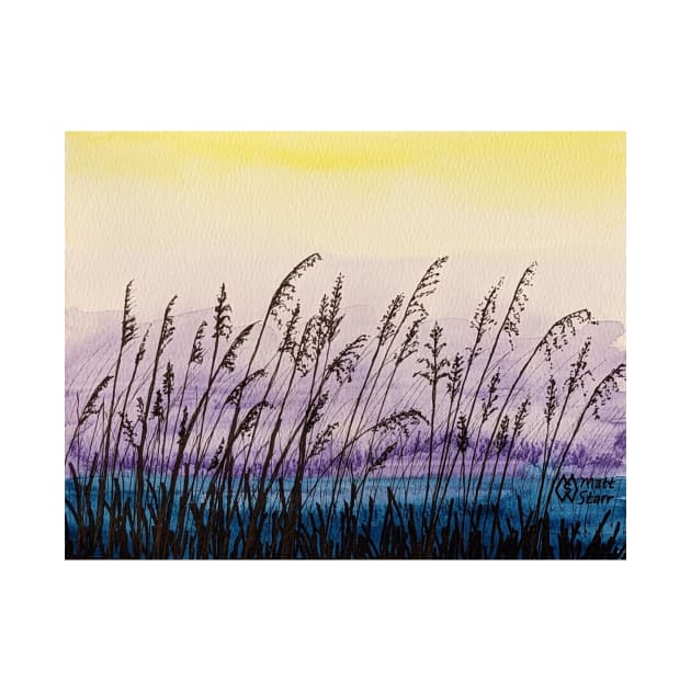 Sea oats by dawns early light by Matt Starr Fine Art