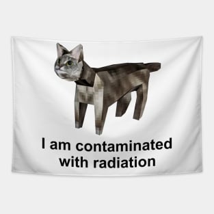 I Am Contaminated With Radiation Funny Cat Meme Shirt / Ironic Shirt / Weirdcore Clothing Tapestry