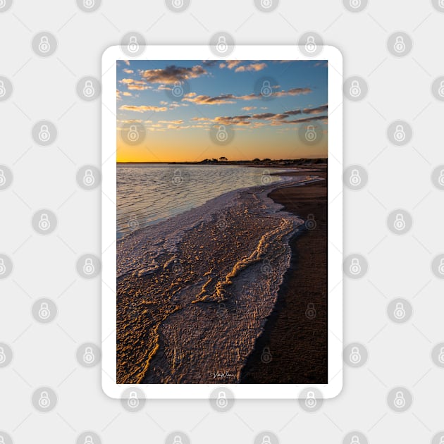 Lake Tyrrell, Sea Lake, Mallee Region, Victoria, Australia Magnet by VickiWalsh