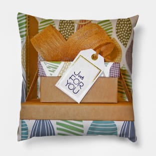 Background birthday bow box Pillow