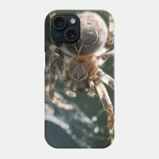 Furry Spider On The Web Phone Case