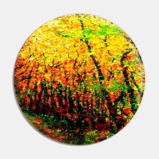 sunlit woods Pin