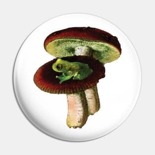 Frog & Mushrooms | Cottagecore | Nature Gift Pin