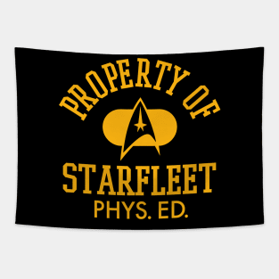 STAR TREK PHYS. ED. - 2.0 Tapestry