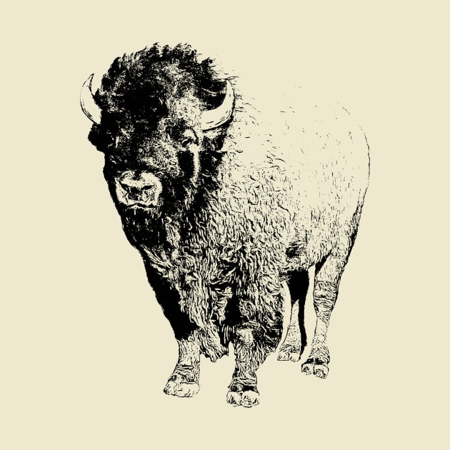 Bison by Guardi