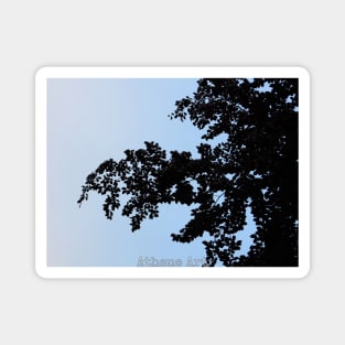 Blue Tree Silhouette Magnet