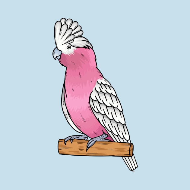 Galah bird cartoon illustration by Cartoons of fun