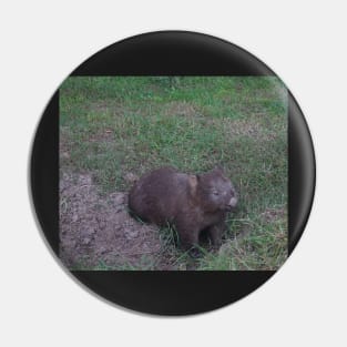 Wombat Photo Pin