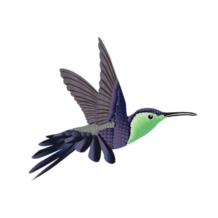 Hummingbird - Green T-Shirt