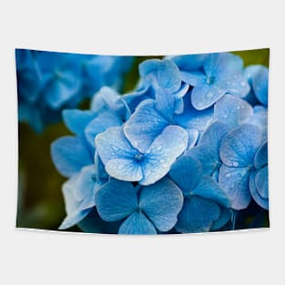 Blue Hydrangea, after the rain Tapestry