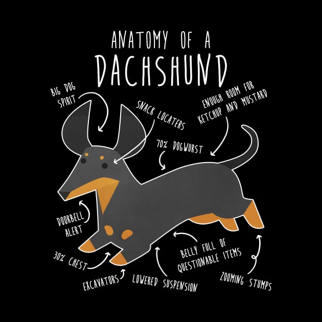 Black and Tan Dachshund Dog Anatomy by Psitta