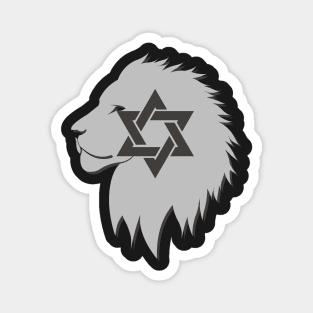 Shalom Magnet