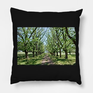 The Long Driveway in Spring Pillow