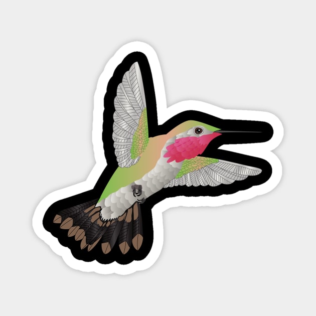 Hummingbird - Pink Magnet by Pet & Nature Lovers