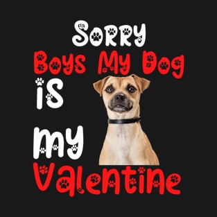 sorry Boys My Dog Is My Valentine T-Shirt