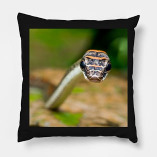 Unique and organic photography of a curious tree snake Chrysopelea pelias Pillow