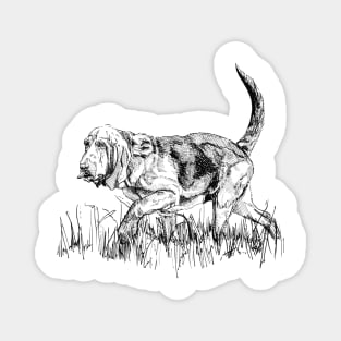 Bloodhound Ink Drawing Magnet