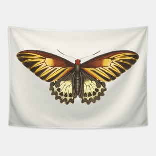 Brown butterfly Tapestry