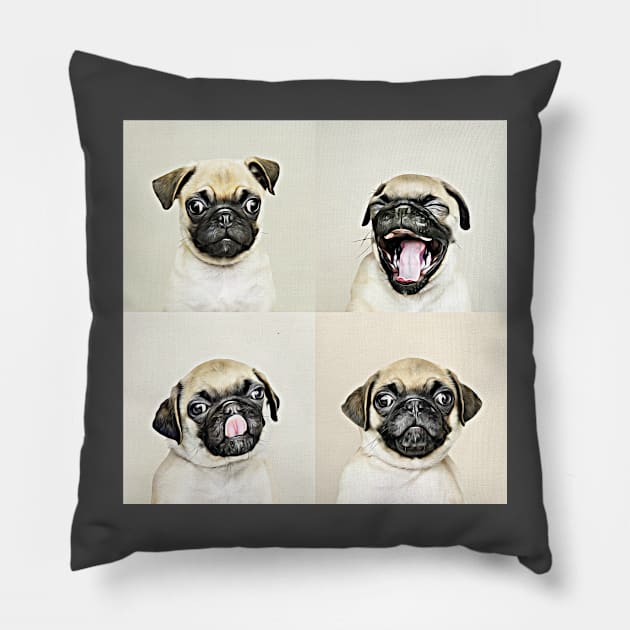 The Four Faces Of Pug Pillow by cameradog