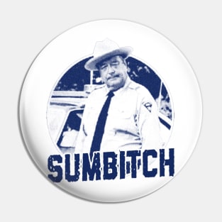 Sumbitch vintage blue Pin