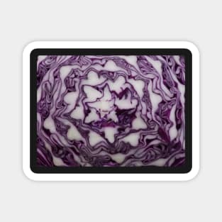 Violet cabbage Magnet