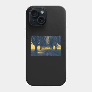 Llandaff Fields#5 Phone Case