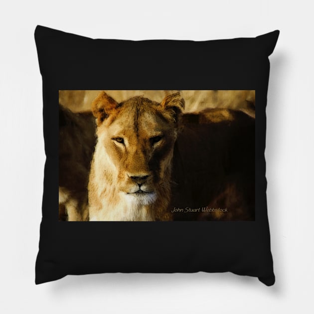 Lioness Pillow by johnwebbstock