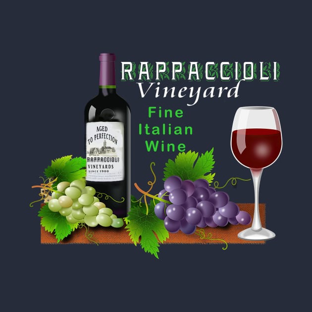 Nicaragua Rappaccioli Vineyard Italian Wine by hispanicworld